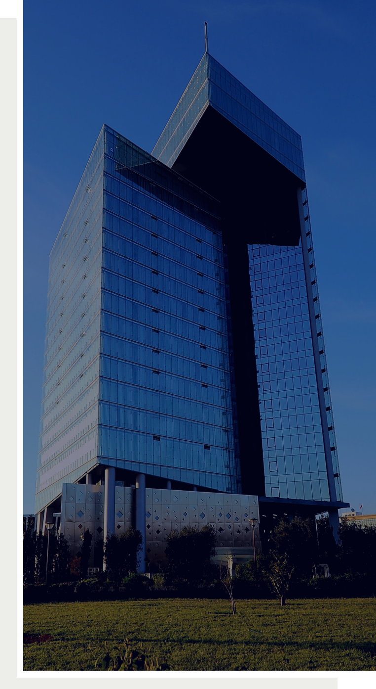 Here’s How We Support Your Investment and Implementation